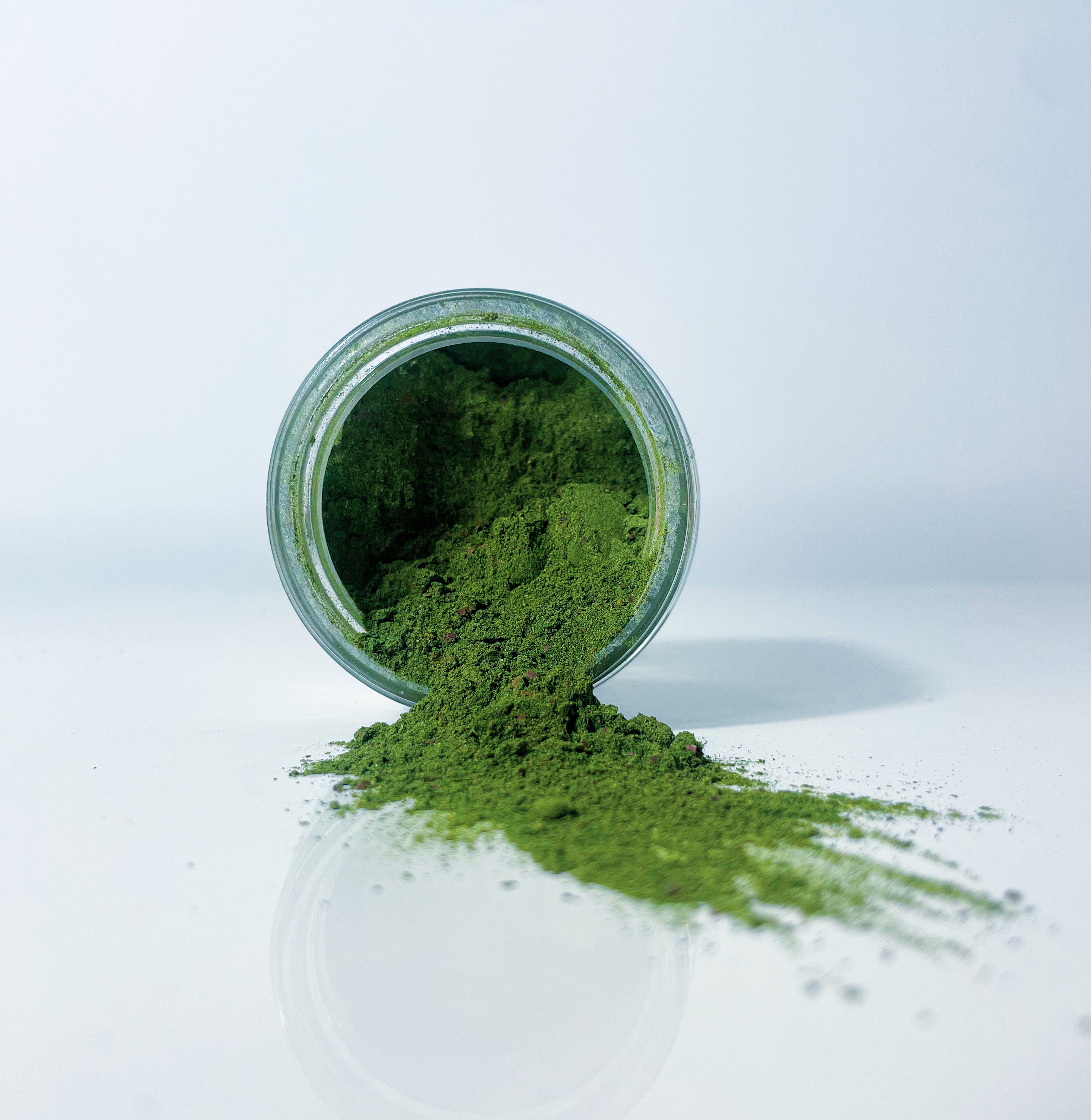 Heavy Metal Detox for Dogs and Cats - Purify Powder