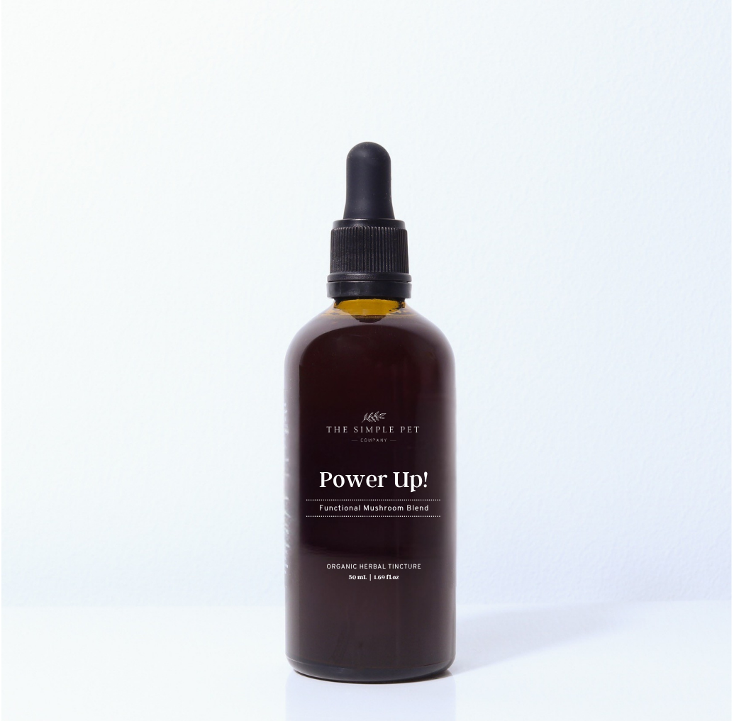 Bottle of power up on a white background