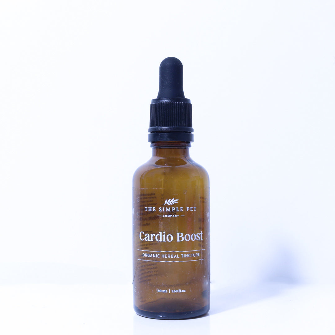 Natural heart supplement for dogs and cats 