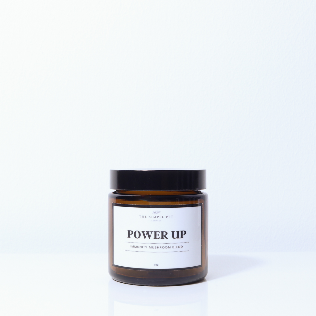 Mushroom Powder for Dogs and Cats - Power Up!